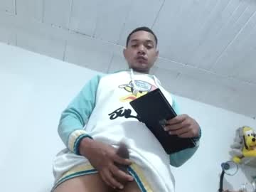 bronx_11in