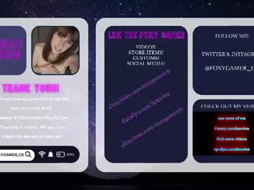 foxy_gamer