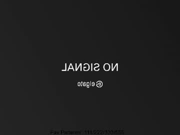 nicole_blueberry