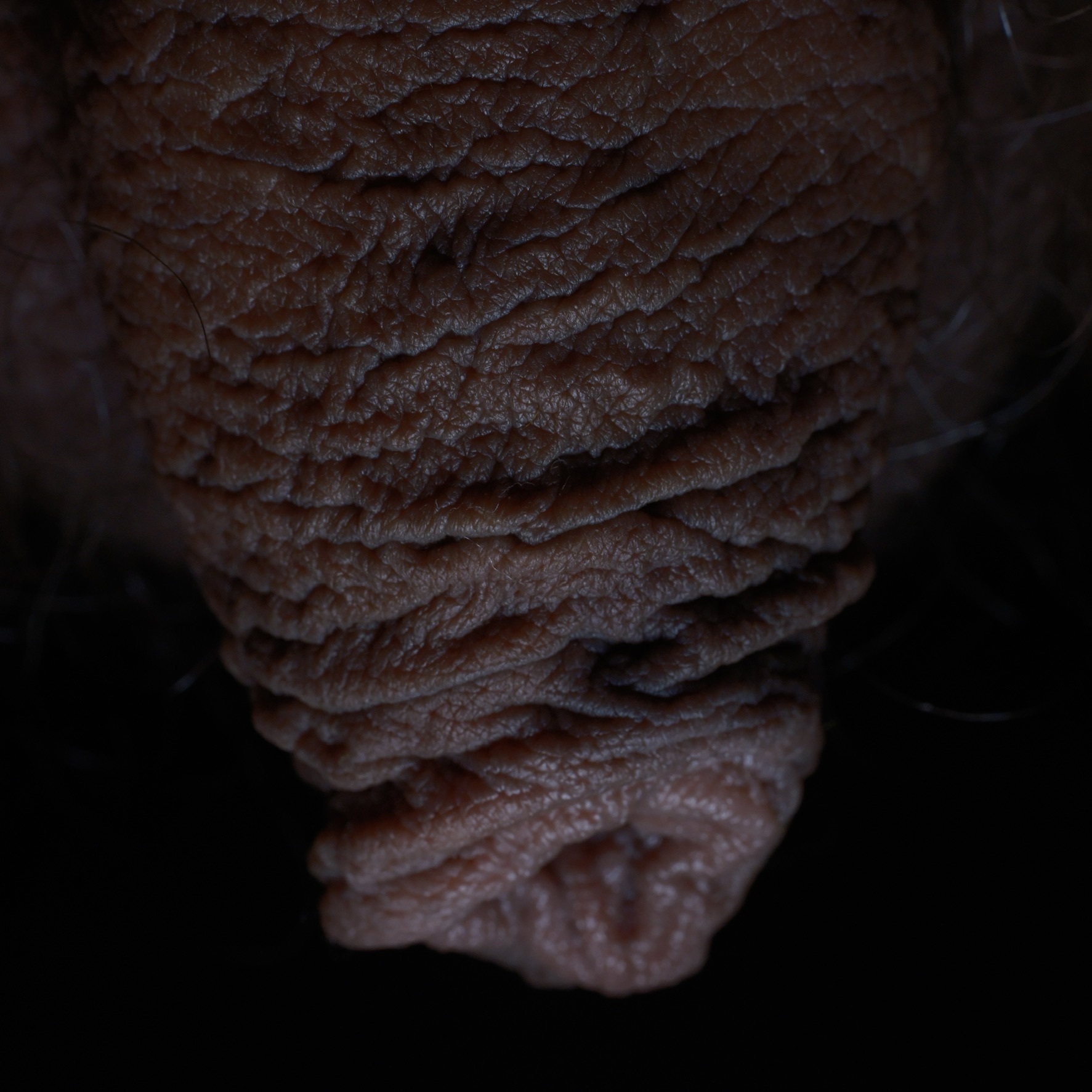 playing with my foreskin — 17